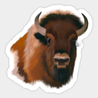 Cute Bison Drawing Sticker